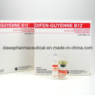 Antipyretic Analgesics Difen-Guyenne B12 Diclofenac Potassium Injection